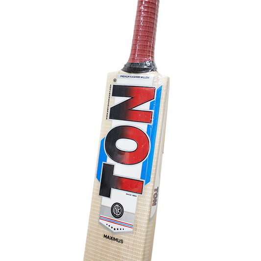 SS TON Maximus Kashmir Willow Cricket Bat - Size 4