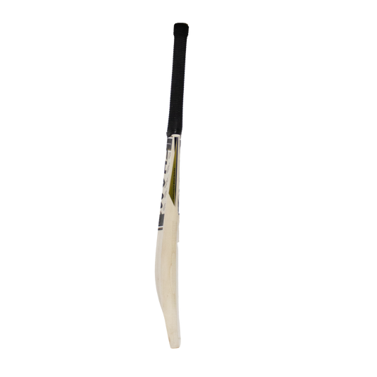 Champ Test English Willow SH – Black and gold