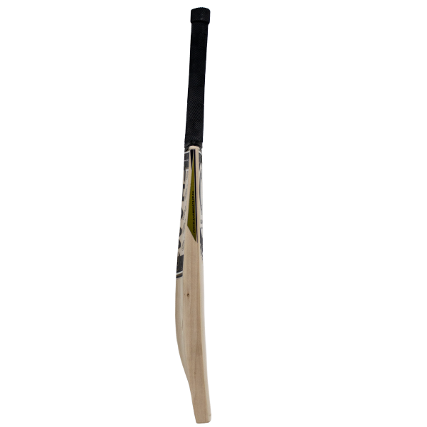 Champ Test Pro 2025 English Willow Cricket Bat - Black and Gold - Size 6